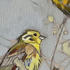 Laura Andrew Yellowhammers