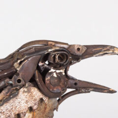 Sawblade Raven