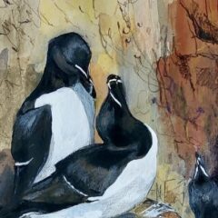 Melanie Mascarenhas Llurs Ledges