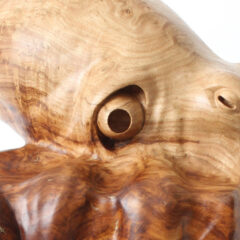 Octopus 2 by Bill Prickett