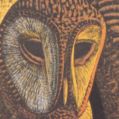 Osborne Barn Owls