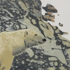 Rich Andrea Polar Bear and Skua