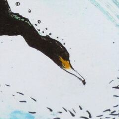 Scammell Louise Diving birds Mokulito 60 x 40cm