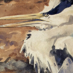 Talbot Kelly Richard Barret Wounded heron watercolour