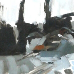 House sparrows in the gutter