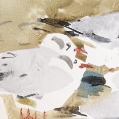Black-headed Gulls