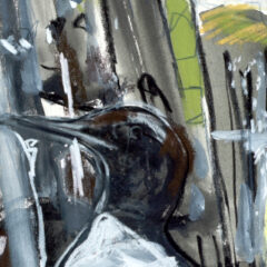Guillemot ledge web
