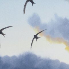 Watercolour painting by Jonathan Pomroy