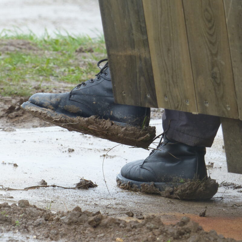   it rained a fair bit...