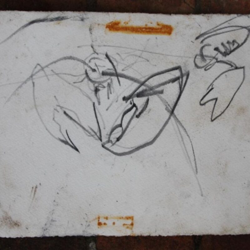   Harriet Mead, underwater lobster sketch