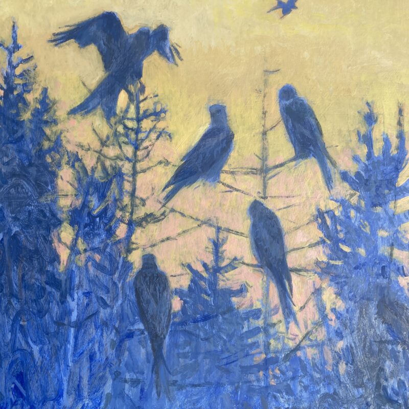   Blue Kites study, acrylic by Darren Rees