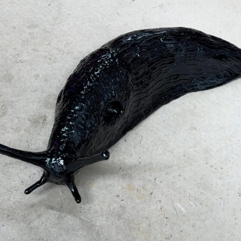   A bigger Slug by Tallie Walker Warne