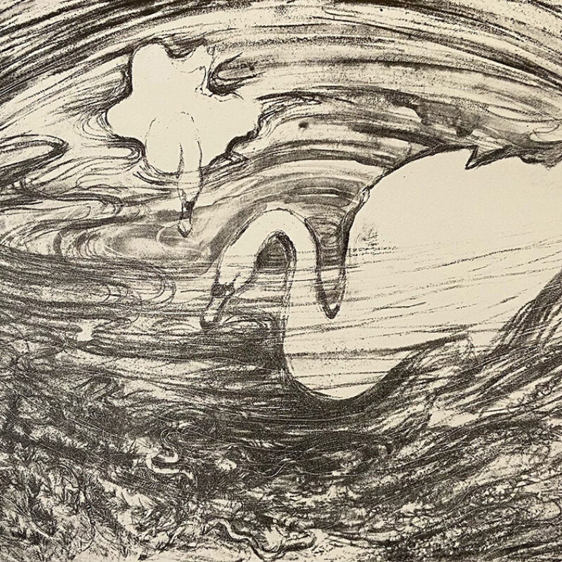   Georgina Coburn, Swans Experiment; tuche pooling gum arabic mask spray tusche and crayon, Stone lithograph, 30 x 45cm