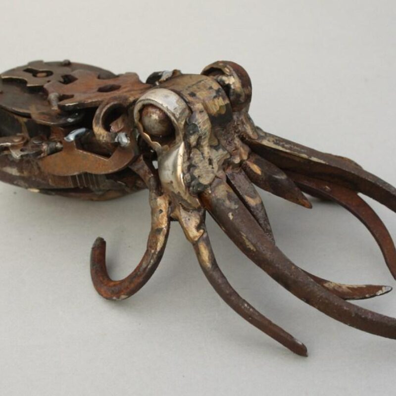   Harriet Mead, Padlock Cuttlefish