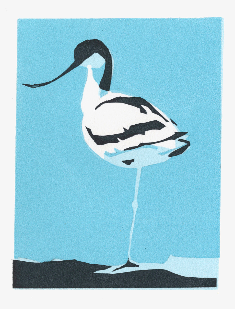 <p>Avocet one by Max Angus</p>