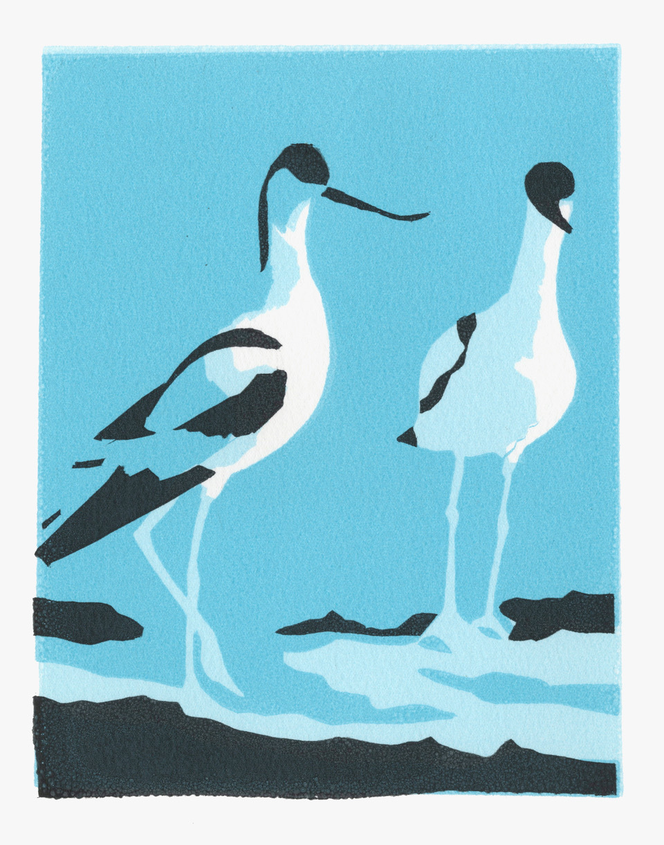 <p>Avocets Two by Max Angus</p>