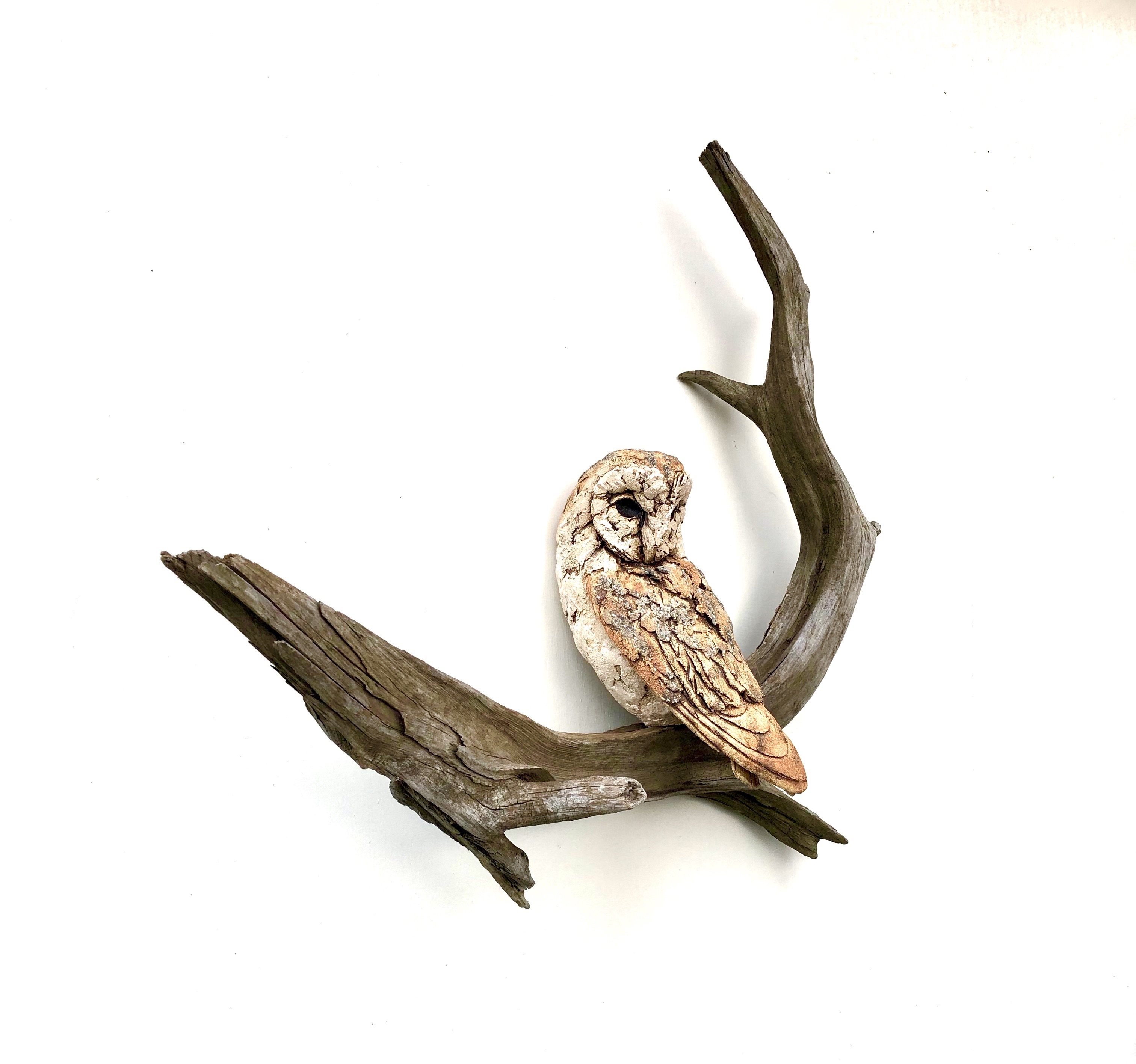 <p>Barn Owl by Simon Griffiths</p>