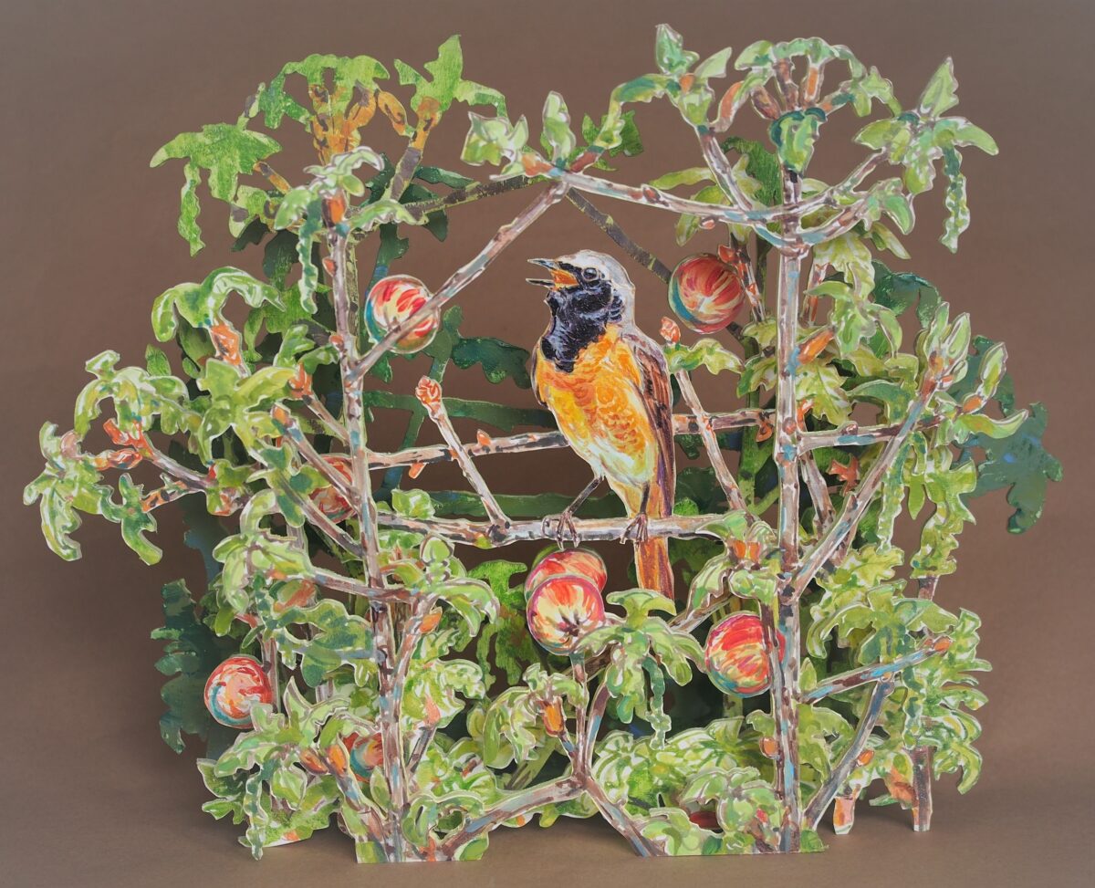 Artwork image titled: Redstart and Oak Galls