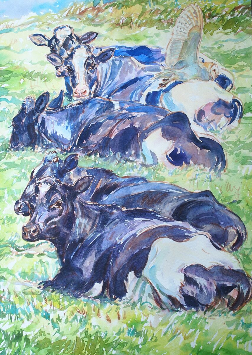 Artwork image titled: Barn Owl and Friesians