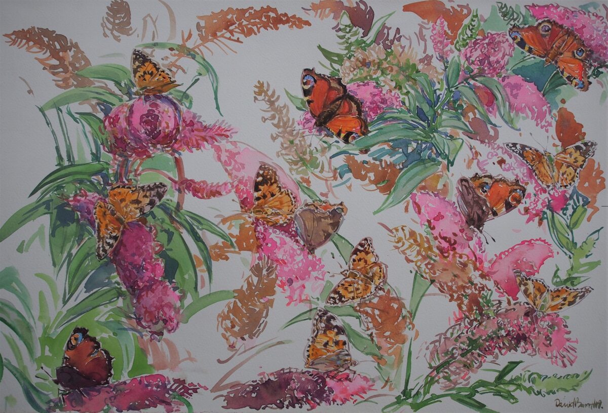 Artwork image titled: Peacock and Painted Lady on Buddleia