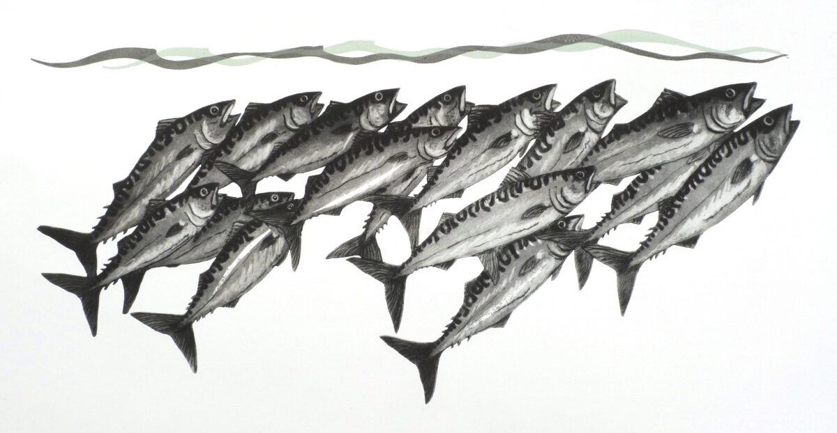 Artwork image titled: Mackerel Eyes