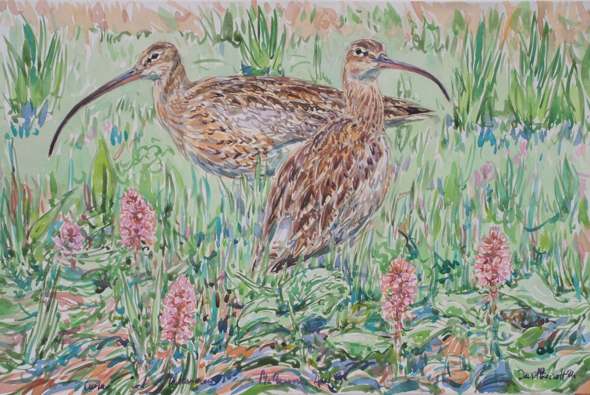 Artwork image titled: Curlews and butterbur