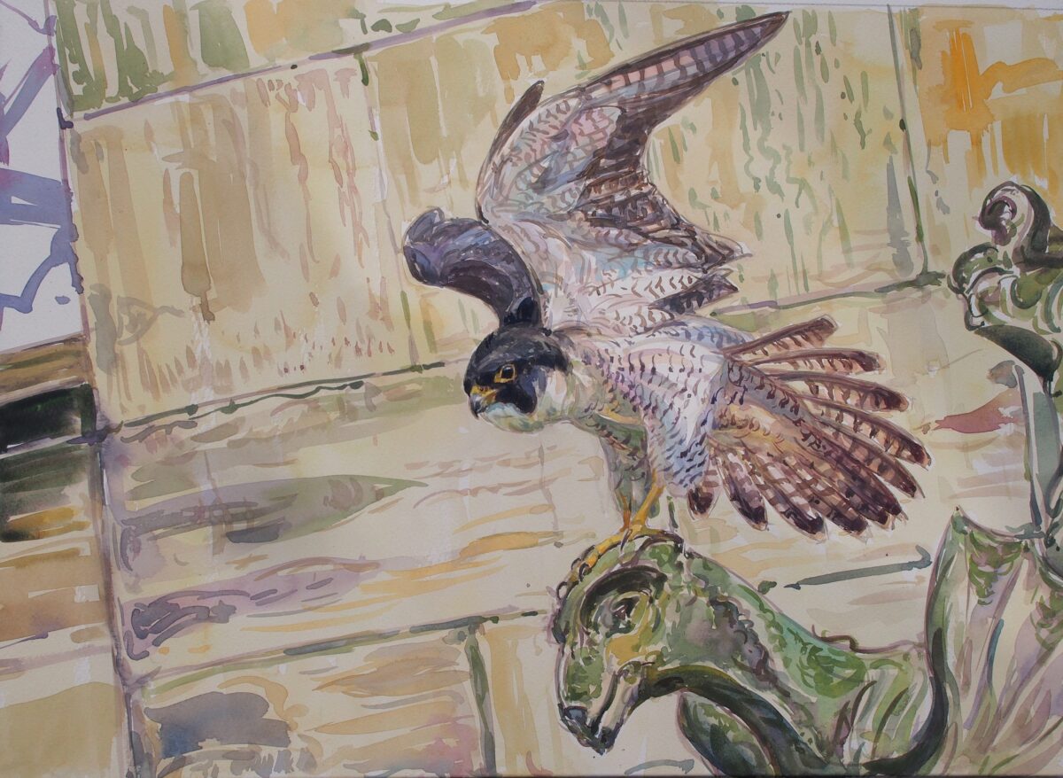 Artwork image titled: Peregrine on York Minster