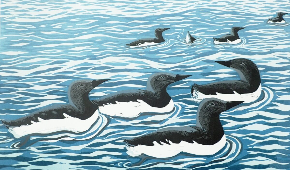 Artwork image titled: Bazaar of Guillemots