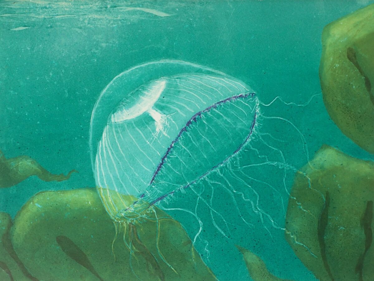 Artwork image titled: Crystal Jellyfish