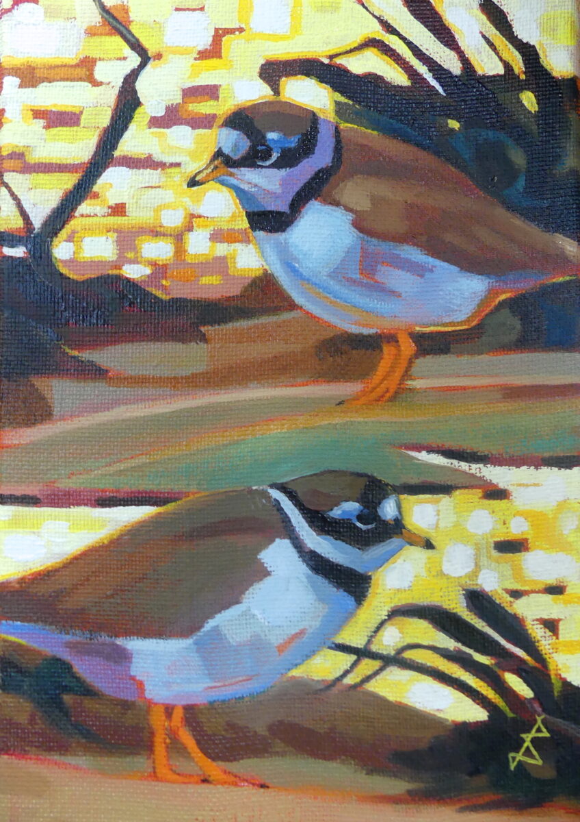 Artwork image titled: Ringed plover last light