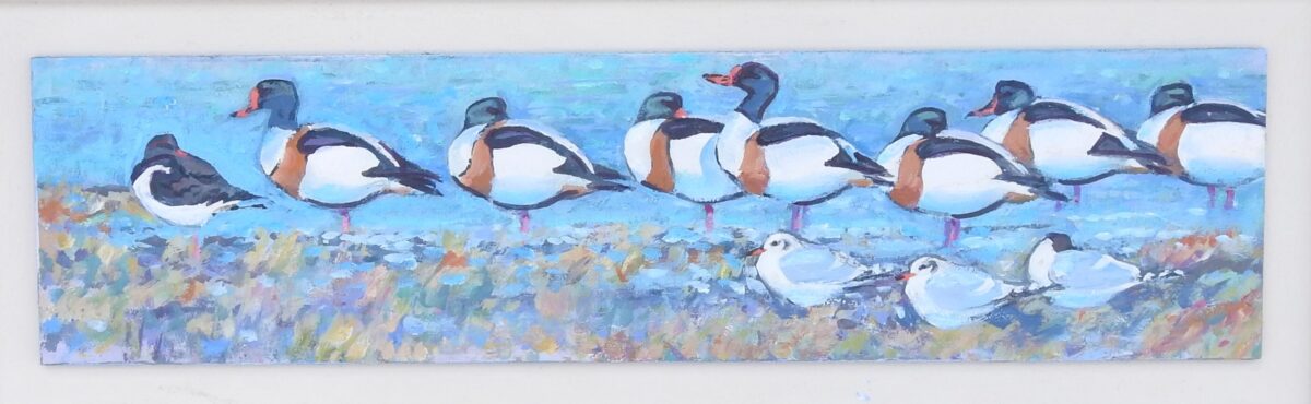 Artwork image titled: Shelducks, All in a Row