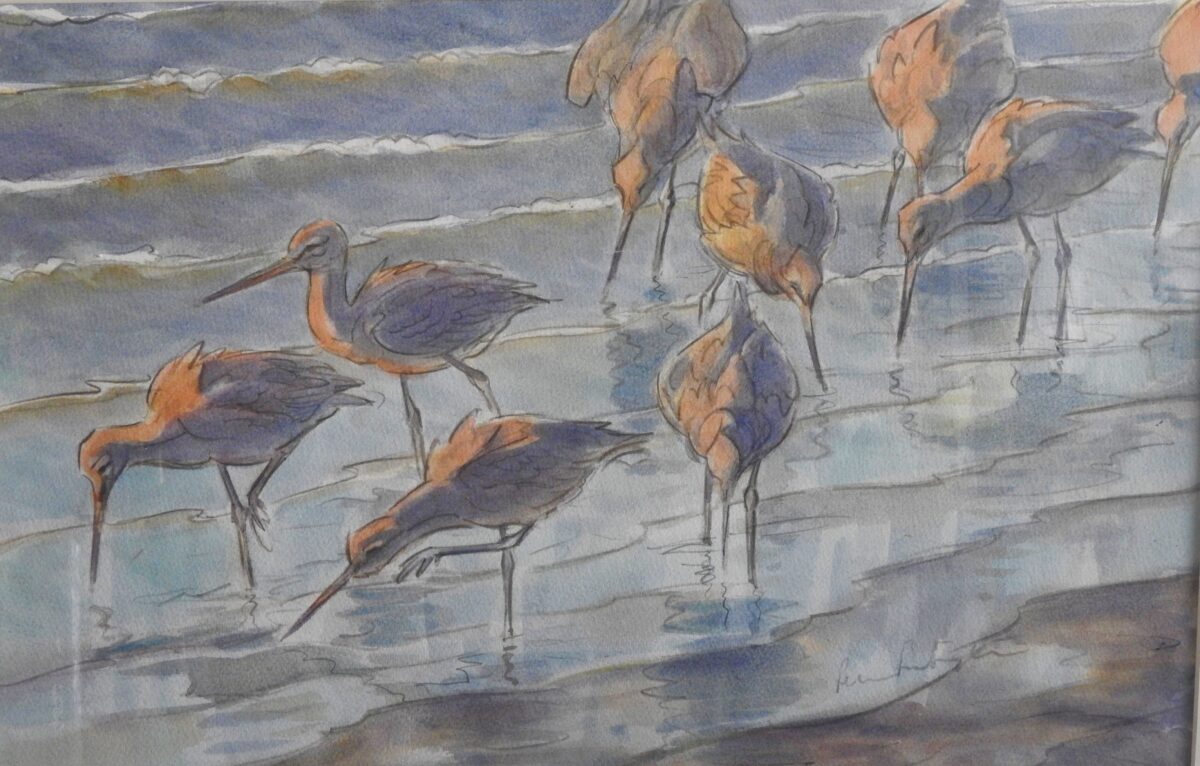 Artwork image titled: Tideline Godwits