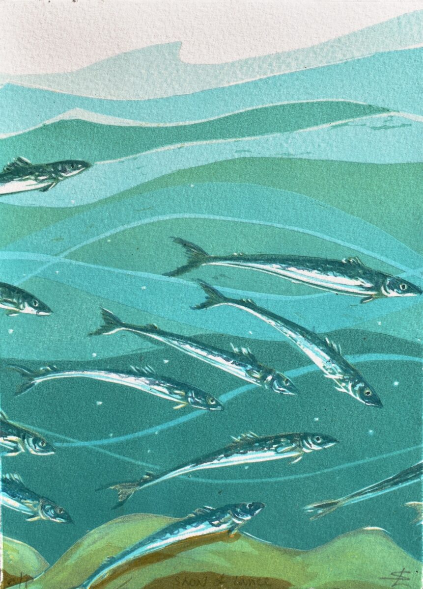 Artwork image titled: Shoal of Lance