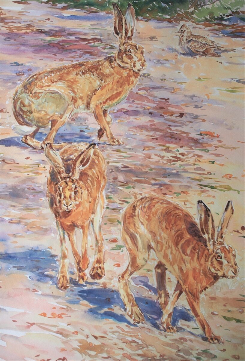 Artwork image titled: Hares and Skylark