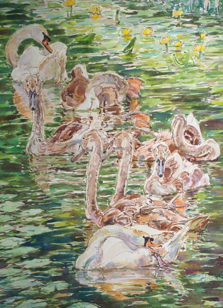 Artwork image titled: Mute Swan Family