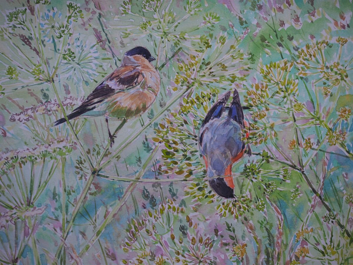 Artwork image titled: Bullfinches and Cow Parsley
