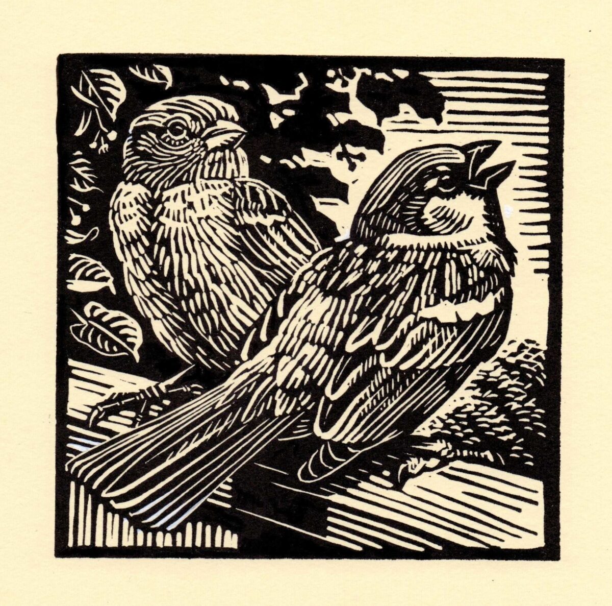 Artwork image titled: House Sparrows