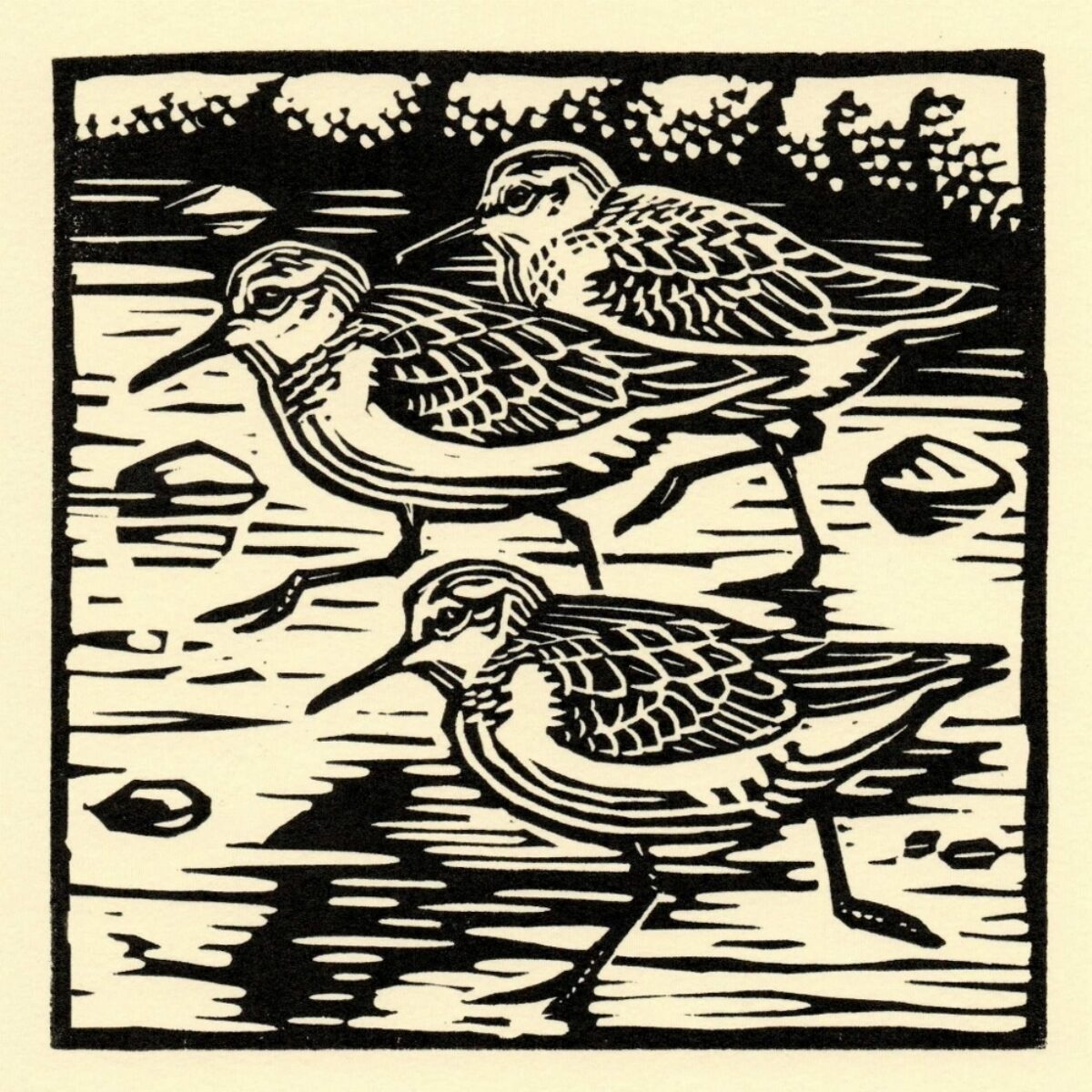 Artwork image titled: Sanderlings