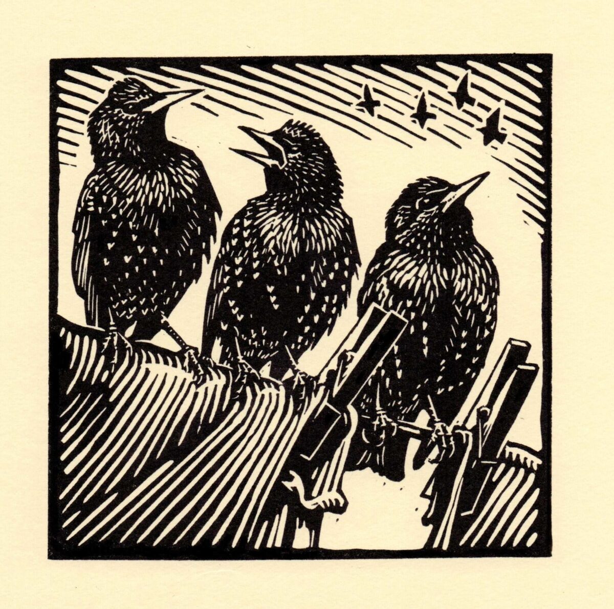 Artwork image titled: Starlings