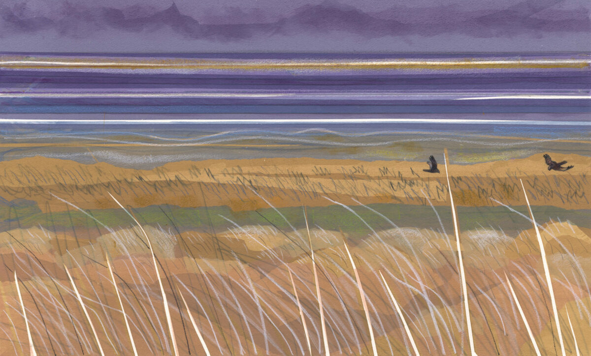 Artwork image titled: Dunes Marsh and Sandbanks