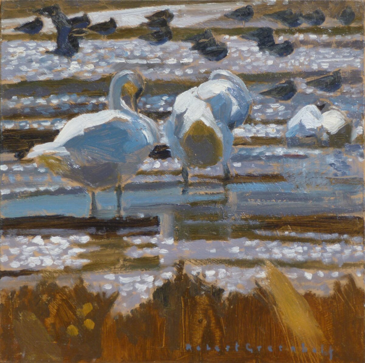 Artwork image titled: Mute Swans and Lapwings