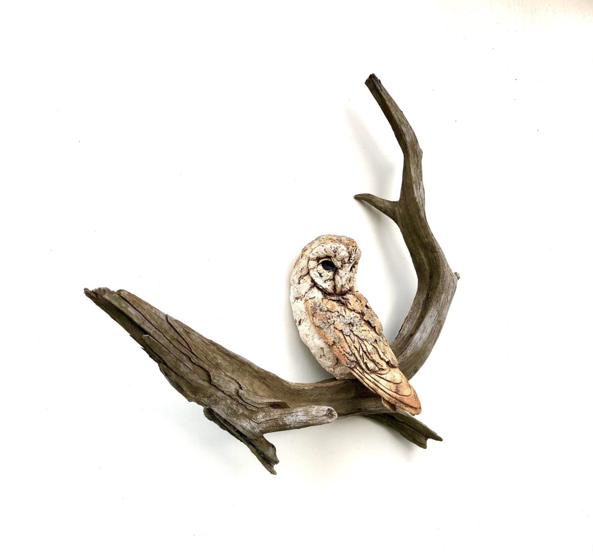 Artwork image titled: Barn Owl