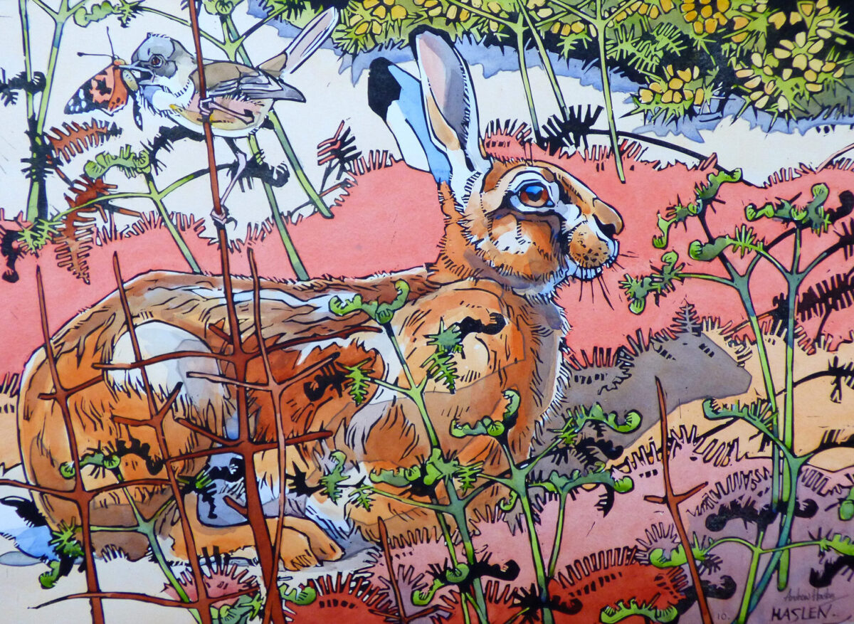Artwork image titled: Spring Hare and Whitethroat