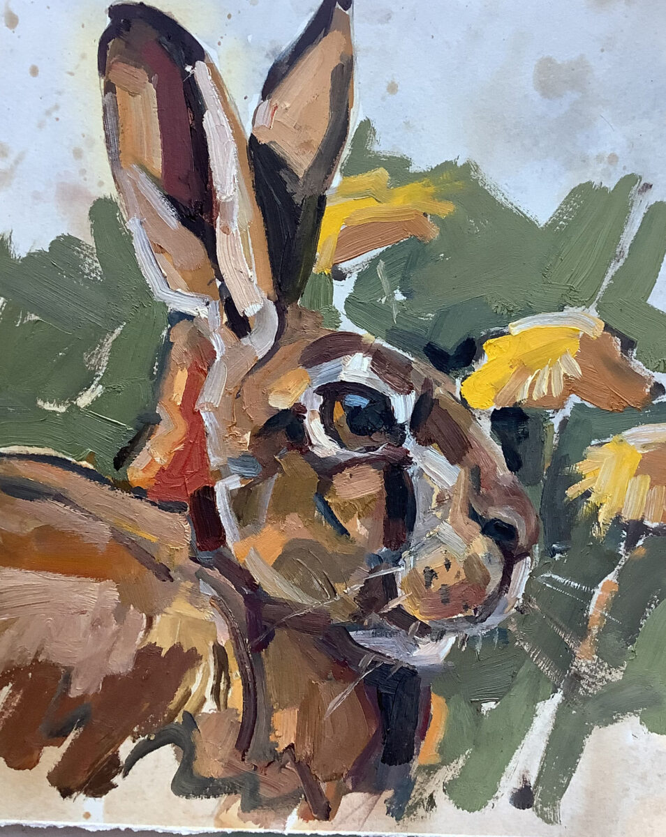 Artwork image titled: Hare