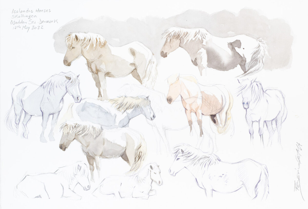 Artwork image titled: Icelandic horses