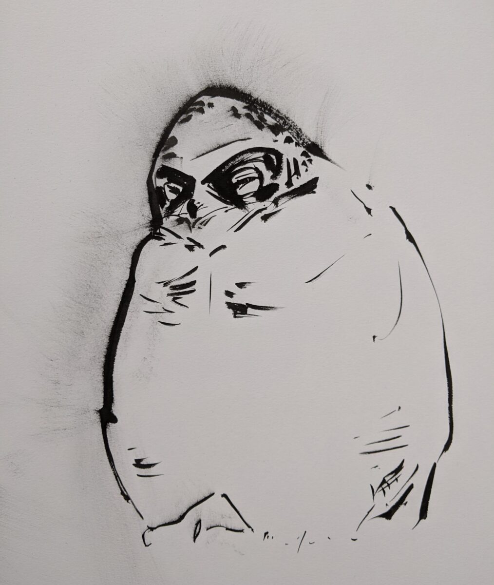 Artwork image titled: Sleeping Great Horned Owlet