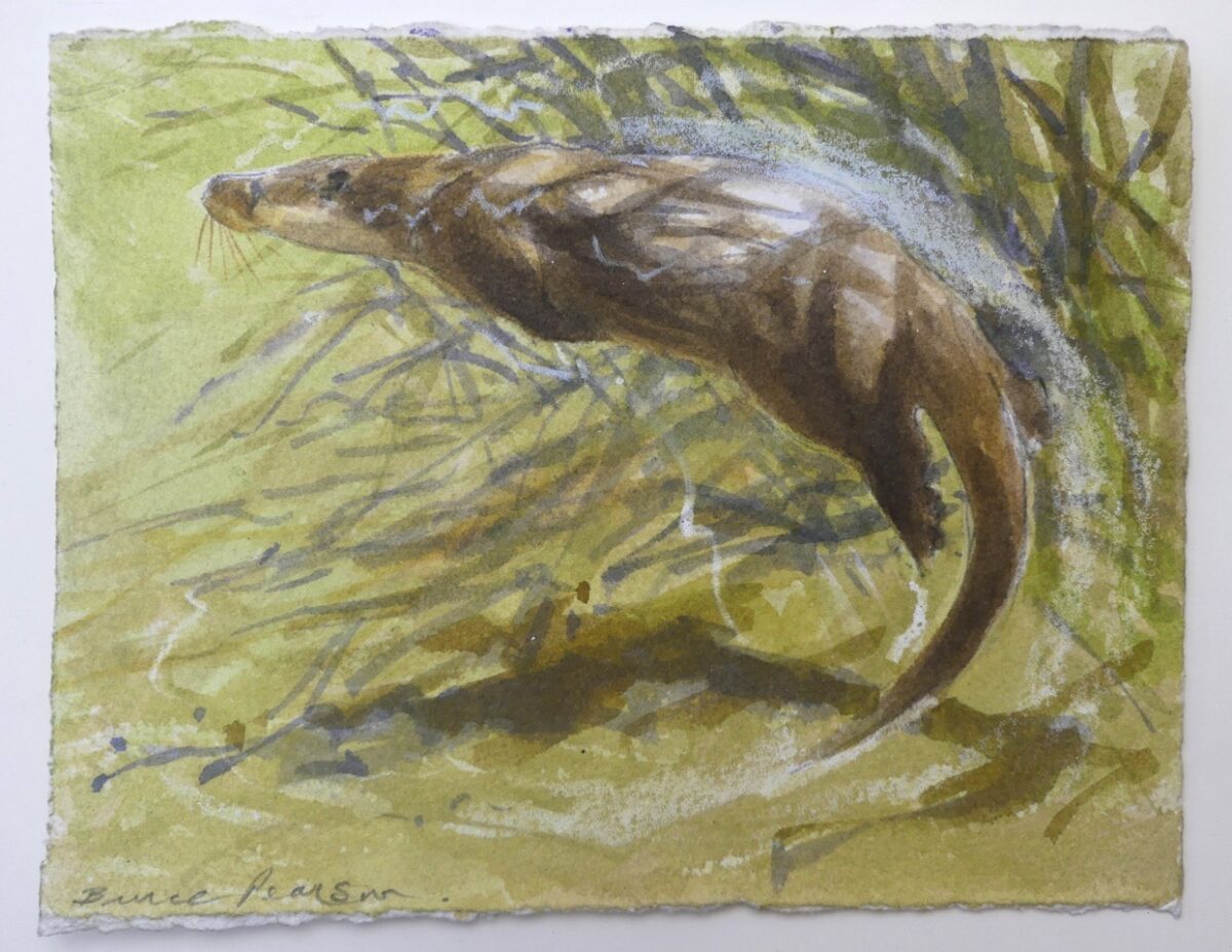 Artwork image titled: Underwater Otter