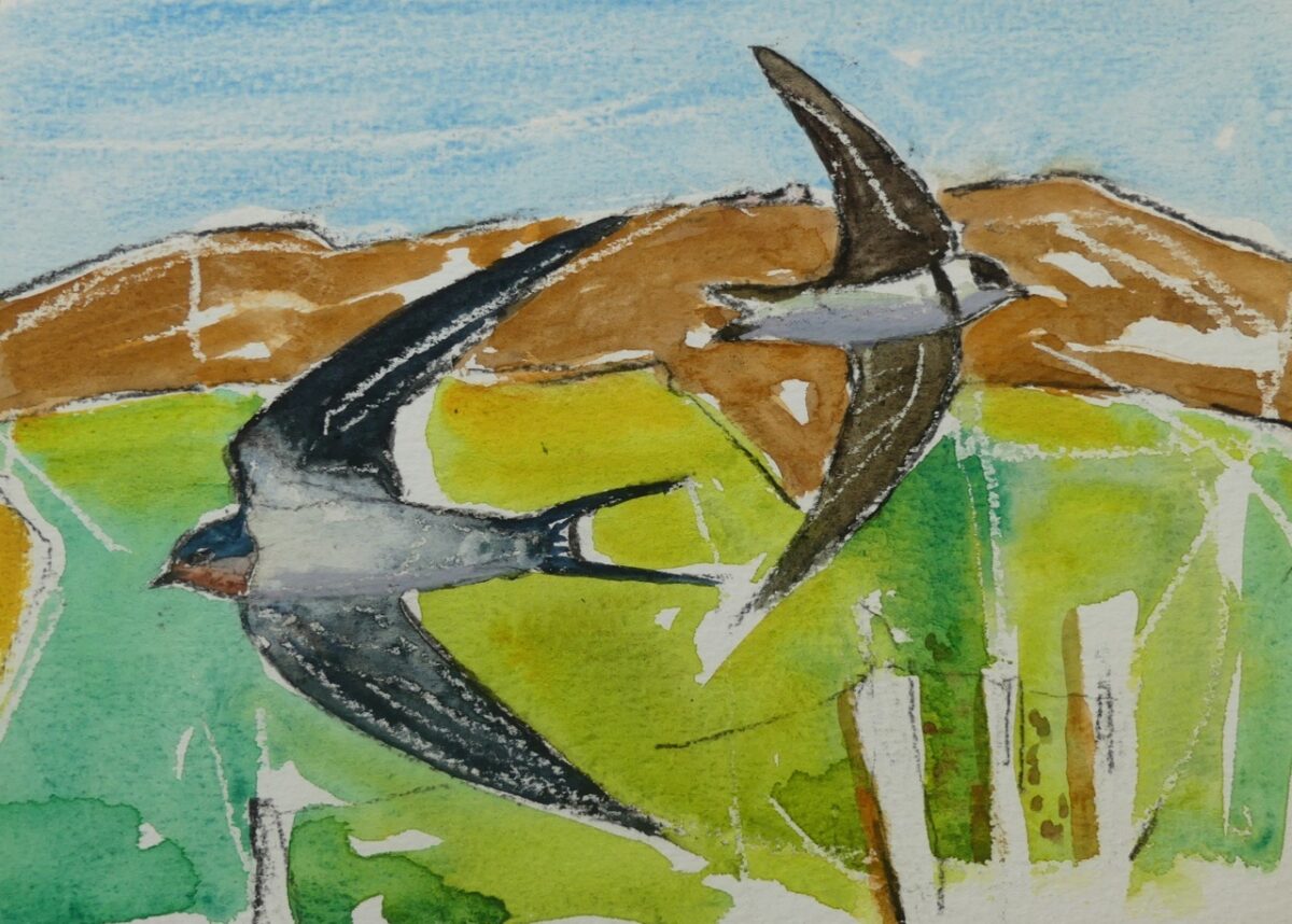 Artwork image titled: Swallow and Sandmartin, Pembrokeshire coast
