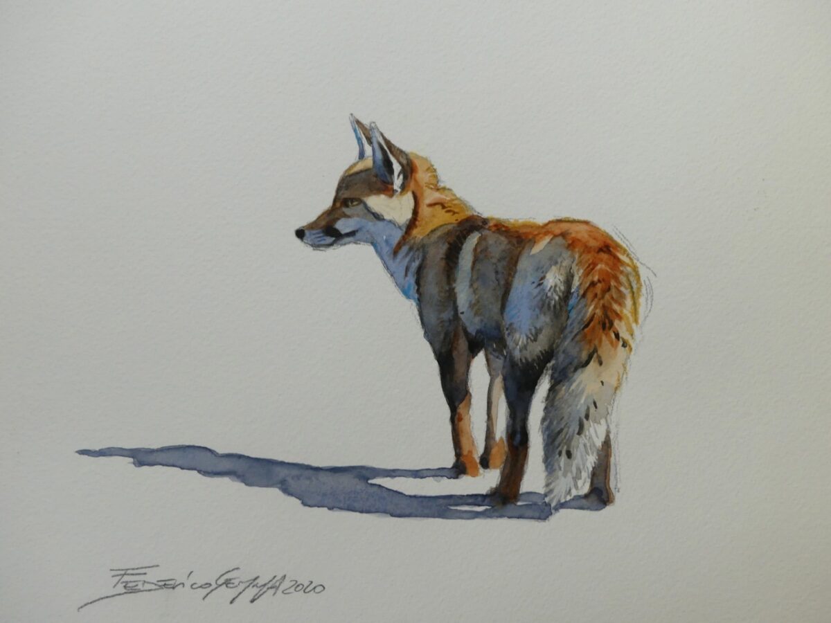 Artwork image titled: Red Fox