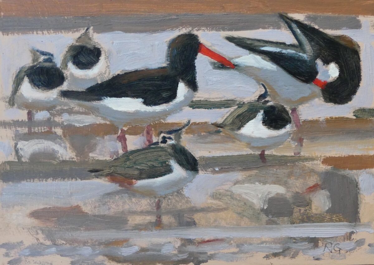 Artwork image titled: Oystercatchers with Lapwing